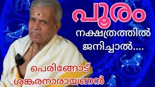 പൂരം പിറന്നാൽ |POORAM നക്ഷത്രം |പെരിങ്ങോട് ശങ്കരനാരായണൻ | പൊതുഫലവും സ്വഭാവവും |Jayaprabha