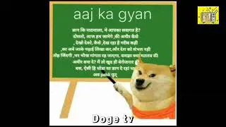 𝙂𝙮𝙖𝙣 𝙠𝙞 𝙥𝙖𝙩𝙝𝙨𝙝𝙖𝙡𝙖 𝘼𝙢𝙚𝙚𝙧 𝙠𝙖𝙞𝙨𝙖 𝘽𝙖𝙣𝙚   #doge#cheems #memes#dogememe #cheemsarmy #dogesh #shorts#trend