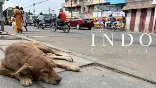 〔チェンナイ〕南インドでインド雑貨を巡る｜ポンガルの体験｜五感で感じるTara Books｜中世南インドの首都カーンチプラム