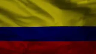 COLOMBIA  FLAG loops