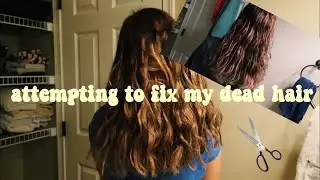 attempting to fix my dead, bleached hair :') | Emmy Adela