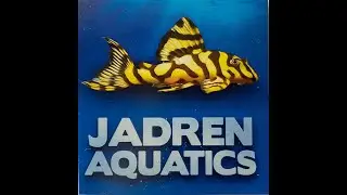 Jadren Aquatics