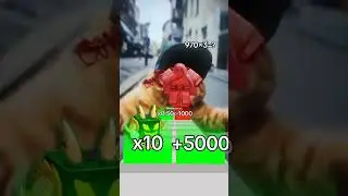 Devil fruit cooked #bloxfruits #roblox #blox #cats #dance #trendingvideo #exploreshort #viralfyp