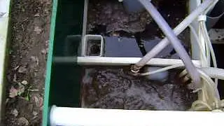 MOV01644
