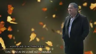 Vervelas Din Tandarei - Daca Mai Ai In Lume Azi O Mama (Video Official 2021) New