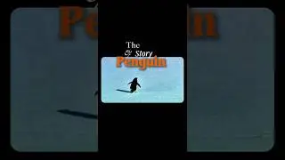 The story of famous Penguin 🐧 #inspiration #penguin #motivation #shorts #butwhy