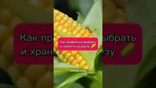 А Вы Знали...