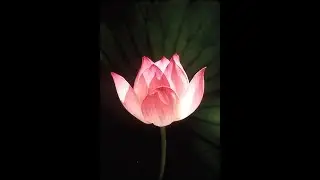 Sagittarius - May 2018 - BLESSINGS ARRIVE IN DIVINE TIME !!