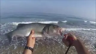 לברק מפלצתי - הסי באאאס של הקיץ .