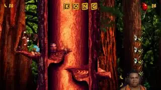 DONKEY KONG COUNTRY TRILOGY
