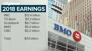 Business Report: Big earnings for the big banks