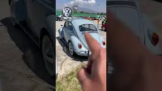 Comparando Vochos de los 60