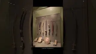 Bihar Museum❤️📍Location Bailey road Patna #bihartourism #photography #viralvideo #viralshorts #vlog