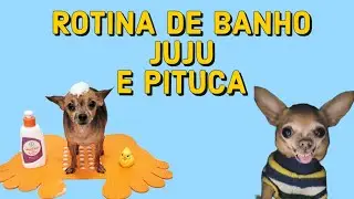 ROTINA DE BANHO JUJU E PITUCA