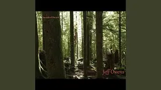 The Swamp Lands