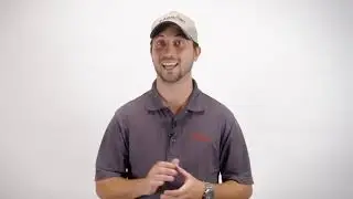 Arrow Termite  Pest Control - Mosquito Service