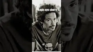 eagle-eye cherry! his dad is jazz trumpeter don cherry & his sister is neneh cherry! talented family