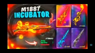 new M18187 skin coming in incubator