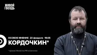 Андрей Кордочкин*: Особое мнение / 23.02.26