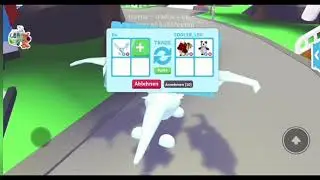 What people trade for a FLY AND RIDE FROST DRAGON! || Purple Berry :)