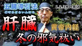 冬こそ攻めるセルフケア！肝臓が生き返る気功！【1.2.3月の五臓導引法！黄帝内経気功体操】Lingjianzi Daoyin Method - Qigong Practice: Jan-Mar