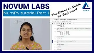 Master NumPy in Minutes: The Essential Guide for Beginners!