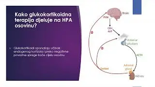 How do I - Kako izostaviti dugotrajnu glukokortikoidnu terapiju?