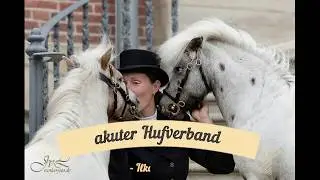 Wie man einen Hufverband anlegt bei Hufrehe, Hufgeschwür, starker Fäule etc.