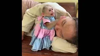 Baby Monkey Chichi&rsquo;s Heartbreaking Attempt to Wake Mom 💔#BabyMonkey#Chichi#EmotionalMonkey#SadMonke
