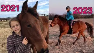 Two Years With My Heart Horse | Wild Mustang Annie
