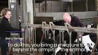R4D Best Practice Young stock weight measurement - subtitles EN