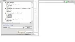 How to enable ActiveX Settings in Internet Explorer