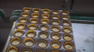 AOCNO cake production line