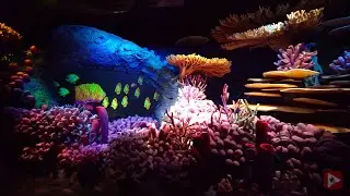 4K | The Seas With Nemo and Friends Full Ride with 3-D Binaural Audio