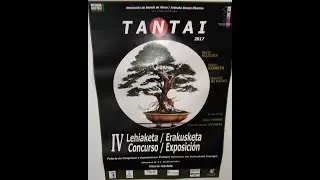 IV Concurso/Exposición Bonsái. Tantai 2017 Vitoria/Gasteiz
