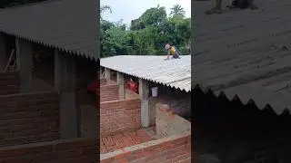 New Pig Farm 🐖 is ready #pig #pigfarmingbusiness #house #animallover #animal