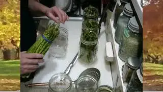 Canning Asparagus: Dry Pack vs traditional Water Pack results