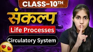 Class 10 Life Processes: Human Circulatory System Explained | CBSE Chapter 5 Biology