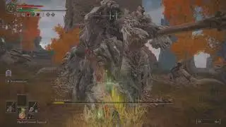 ELDEN RING: Erdtree Avatar Liurnia Of The Lakes North (Solo, No Hit, No Summons)