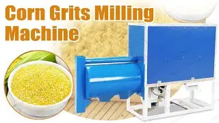 Corn Grits Grinding and Milling Machine - Efficient Grain Processing#corn #maize #corngrinding