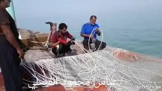 سماجه قضاء الفاو في البصره لنجه ام القرى