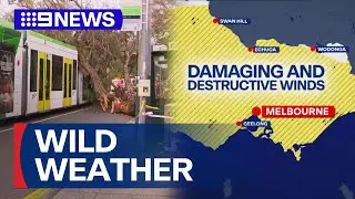 Wild weather lashes Victoria, leaving thousands without power | 9 News Australia