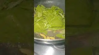 Spinach Omelette 🍳 #shorts #newsong #quickrecipe #jannatzubair #foodlover #viral PreetisLife