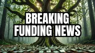 Ahead of disbursement, ♨️JUST IN♔ TELLING REVELATIONS IN THE GRANT ECOSYSTEM#funding #sassa