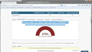 Penguin Algorithmic Penalty Recovery 3