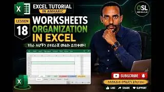 Worksheets Organization In Excel