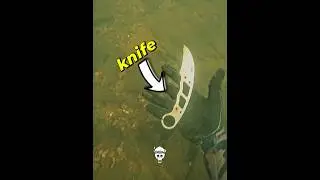 Rare Underwater Finds 🤯