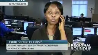 Impact of Rising Global Food Prices on East and Southern Africa