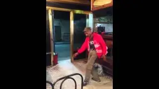 حراث... جديوية