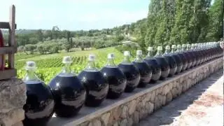 C'est Bio la Vie à...au Vignoble de Saint Jeannet